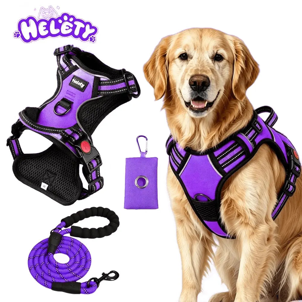 HELETY 3-Piece No-Pull Dog Harness Set - Outdoor Running Use, Adjustable Sizes, Reflective Vest, Leash, Waste Bag Holder, Back Clip Relaxed, Dual Clips, S–XL