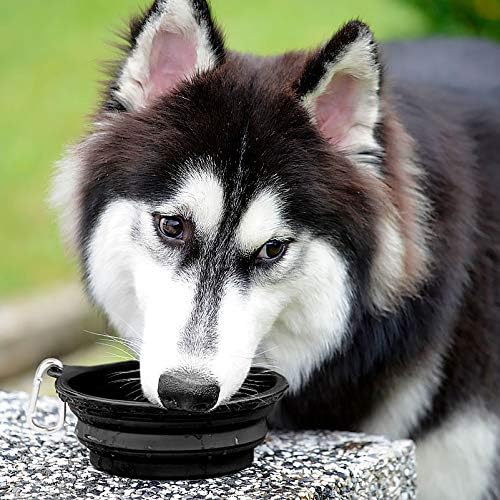 Large Collapsible Dog Bowls 2 Pack, 34Oz Foldable Dog Travel Bowl