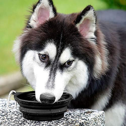 Large Collapsible Dog Bowls 2 Pack, 34Oz Foldable Dog Travel Bowl