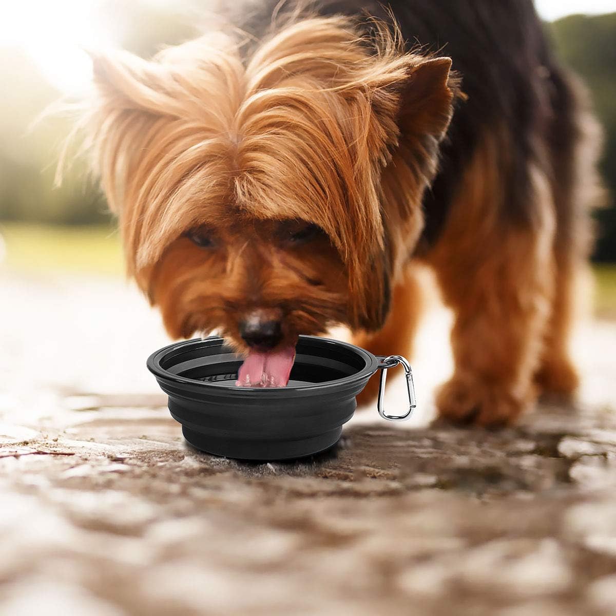 Large Collapsible Dog Bowls 2 Pack, 34Oz Foldable Dog Travel Bowl