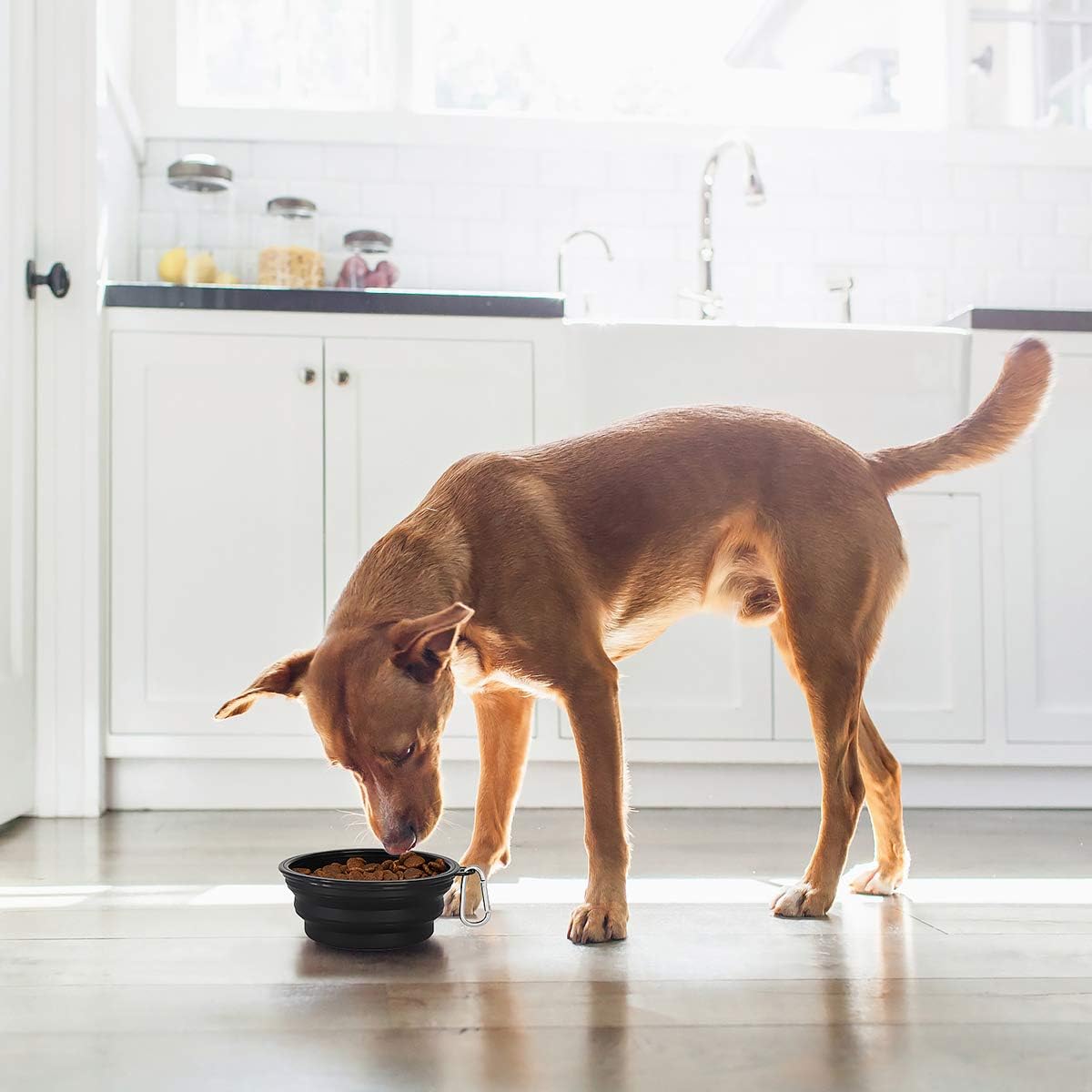Large Collapsible Dog Bowls 2 Pack, 34Oz Foldable Dog Travel Bowl