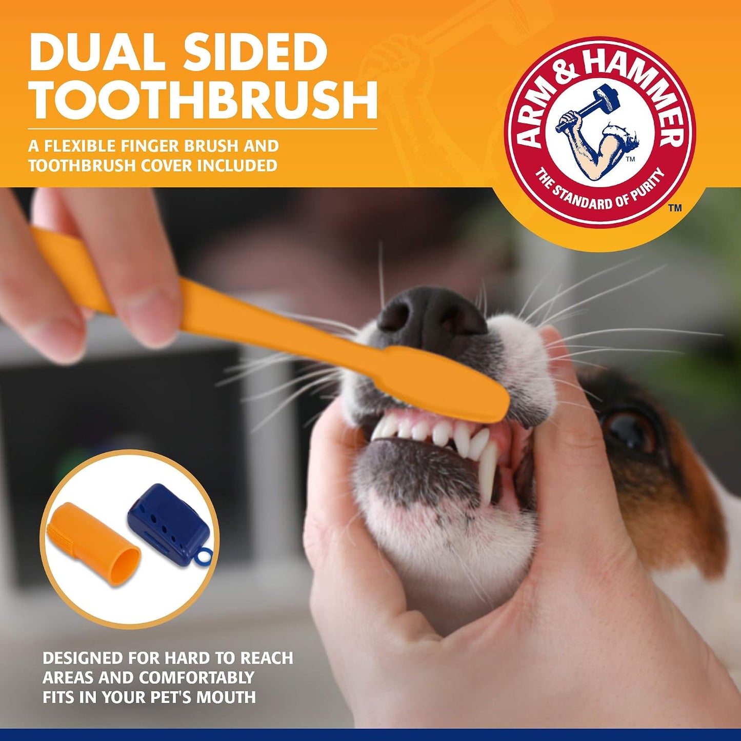 Tartar Control Dog Dental Kit, Banana Mint, 3-Piece