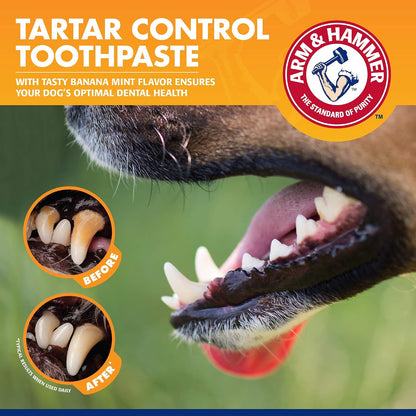 Tartar Control Dog Dental Kit, Banana Mint, 3-Piece