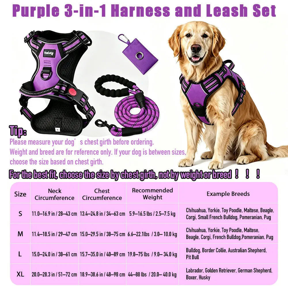 HELETY 3-Piece No-Pull Dog Harness Set - Outdoor Running Use, Adjustable Sizes, Reflective Vest, Leash, Waste Bag Holder, Back Clip Relaxed, Dual Clips, S–XL