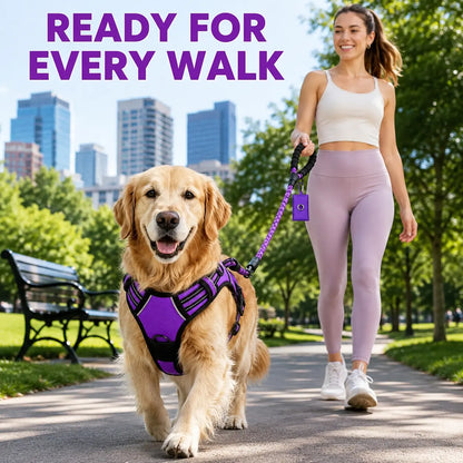 HELETY 3-Piece No-Pull Dog Harness Set - Outdoor Running Use, Adjustable Sizes, Reflective Vest, Leash, Waste Bag Holder, Back Clip Relaxed, Dual Clips, S–XL