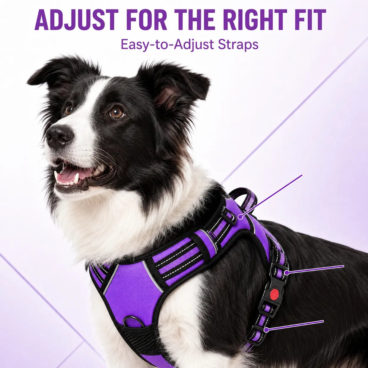 HELETY 3-Piece No-Pull Dog Harness Set - Outdoor Running Use, Adjustable Sizes, Reflective Vest, Leash, Waste Bag Holder, Back Clip Relaxed, Dual Clips, S–XL