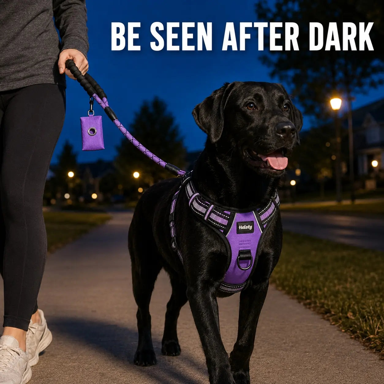 HELETY 3-Piece No-Pull Dog Harness Set - Outdoor Running Use, Adjustable Sizes, Reflective Vest, Leash, Waste Bag Holder, Back Clip Relaxed, Dual Clips, S–XL